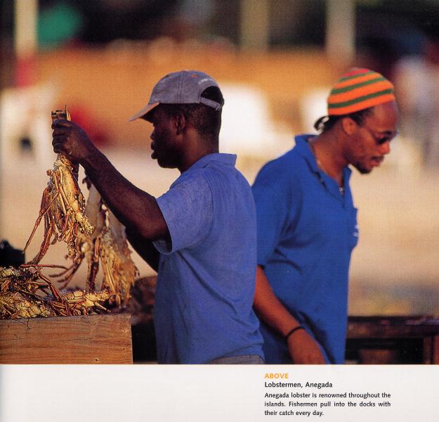 Anegada Lobstermen