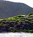 Brandywine Bay from the sea