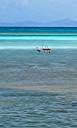 Flamingos in the sea