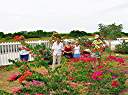 Shirley gives us a tour of the Anegada Botanical Garden