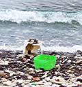 Recorder on Trash Beach