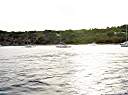 Panorama of Manchioneel Bay, Cooper Island