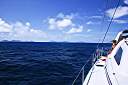 Dogs fading astern