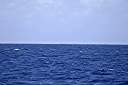 Anegada on the horizon