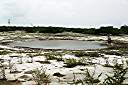 Anegada's fresh water pond.