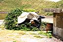 Henry's shelter