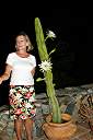 Two night bloomers