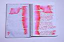Soaked Journal