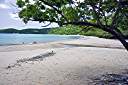 Brewer's Bay.