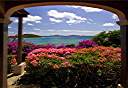 The view from the Pugliese's veranda. Buck Island on the left, Cooper Island and Salt Island in the distance.
