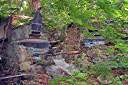 Ruins of Brewer's Bay distillery.