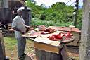 Roadside butcher shop - the Ridge Road, Tortola.