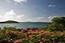 Most of our trips start and end with a day or two at Davide and Cele Pugliese's house on Tortola. This is the early morning view out over the bougainvillea from their veranda.