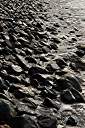 "Blue Bitches" on the beach below Davide and Cele's house.