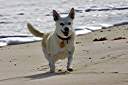 Donatella loves the beach.