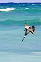 Pelican with fish in sight.