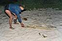 Nancy with her 4-foot lemon shark - caught in our front yard.