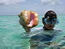 Cele with a conch.