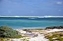 Record swells growing at Cow Wreck.