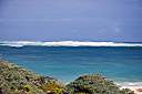 Record swells growing at Cow Wreck.