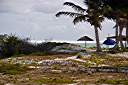 Record swells growing at Cow Wreck.