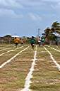 Spring Sports Day at Anegada's Claudia Creque Education Center.
Lakesha destroying the competition in her relay.