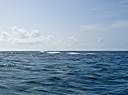 Waves breaking over the reef.