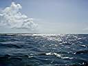 Waves breaking over the reef.