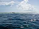 Waves breaking over the reef.