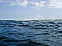 Waves breaking over the reef.