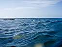 Waves breaking over the reef.