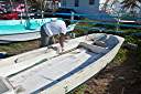 Whaler repair. Whalers are built to last!