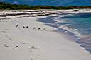 Morning beach walk