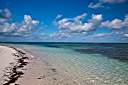 Morning beach walk