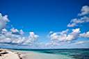 Morning beach walk