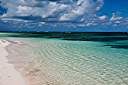 Morning beach walk
