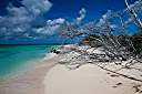 Morning beach walk