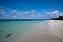 Morning beach walk