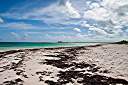 Morning beach walk