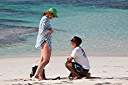 The proposal.