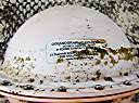 New treasure from the sea. A MetOcean iSphere. Used for tracking oil spills. That "DO NOT TAMPER WITH" means "OPEN ME NOW"! http://www.metocean.com/ProdCat.aspx?CatId=1&SubCatId=5&ProdId=2