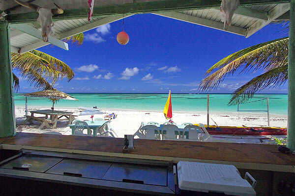 View from the bar at Cow Wreck