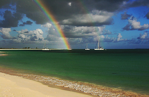 Pomato Point Rainbow