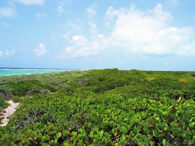 Panorama from Nancy and Walker's secret beach on Anegada