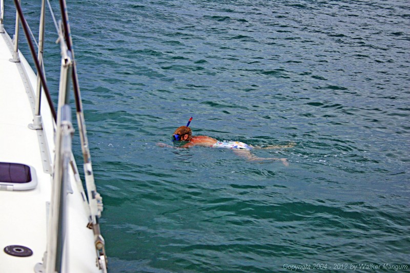 Nancy snorkeling in Brandywine Bay.