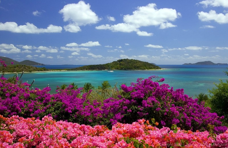 The view from the Pugliese's veranda. What a mix of color!