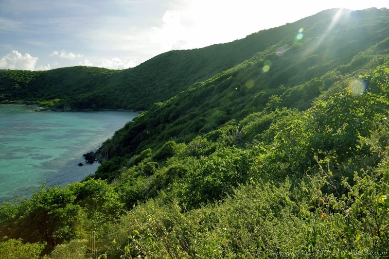Panorama of west end of Money Bay, Norman Island.