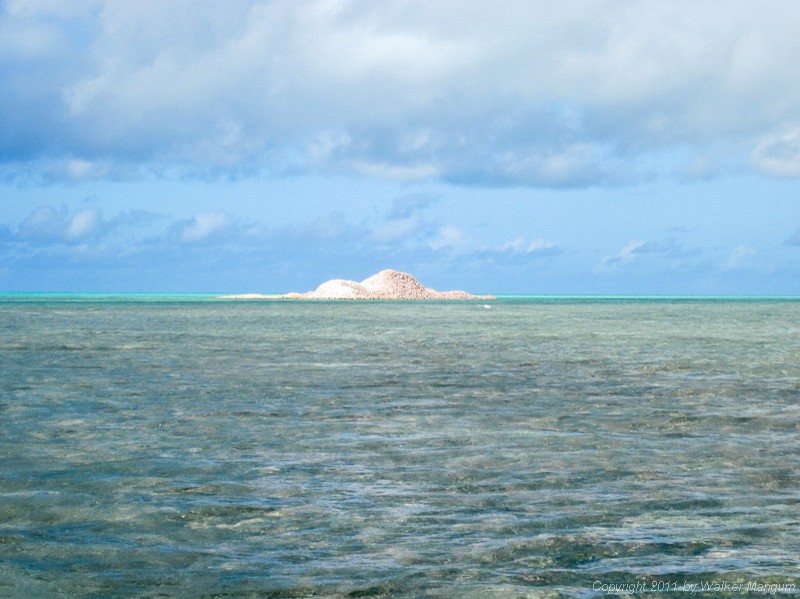 Conch shell mound at east end.