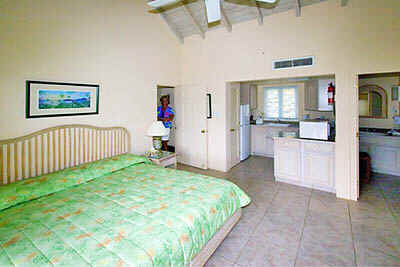 Master bedroom (#221)